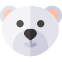 animals,animal,cold,bear,polar bear,polar