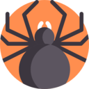 animals,bug,animal,spider,insect,arachnid,entomology,anim ok 