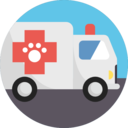 animals,medical,transport,healthcare and medical,automobile,vehicle,emergency,ambulance ok 