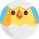 egg,animals,bird,chicken,chick,egg shell ok 