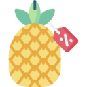 healthy food,food and restaurant,discount,price tag,fruit,supermarket,sale,natural,pineapple