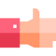 Voting Elections icon 64x64
