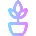 furniture and household,pot,plant,gardening,flower,botanic,flower pot