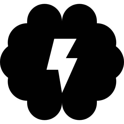 Brain