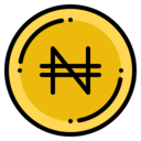 money,business and finance,business,currency,banking,cash,coin,money exchange,naira