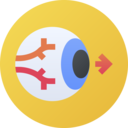 medical,healthcare and medical,vision,eye,optical,ophthalmology,view,visibility,visualization,visualize,optic,eyeball