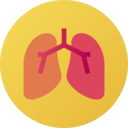 healthcare and medical,body part,organ,anatomy,lungs,internal