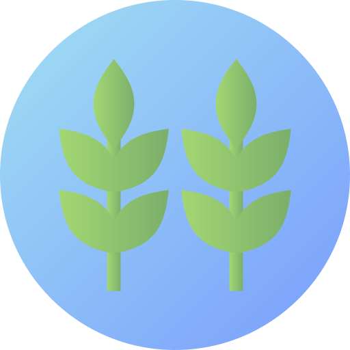 Herbs