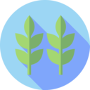 healthcare and medical,nature,plant,natural,leaf,herbs,leaves,plants,spa,properties,healing