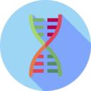 healthcare and medical,education,science,biology,genetical,dna structure,deoxyribonucleic acid,dna