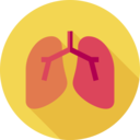 healthcare and medical,body part,organ,anatomy,lungs,internal