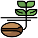 nature,plant,farming and gardening,sprout,seed,botanic,seeds,germination