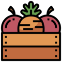 food,vegan,healthy food,food and restaurant,organic,diet,vegetarian,fruit,vegetables,farming and gardening