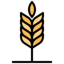food,vegan,healthy food,food and restaurant,organic,nature,farming and gardening,acorn,barley