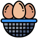 egg,food,animals,eggs,shapes,shape,animal,farming and gardening