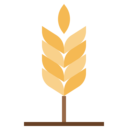 food,vegan,healthy food,food and restaurant,organic,nature,farming and gardening,acorn,barley