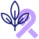 ecology and environment,plant,ribbon,crop,Stalk ok 