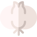 food,vegetable,vegetarian,garlic