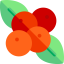 Fruits and Vegetables icon 64x64