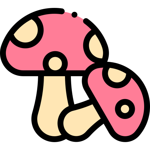 Mushroom