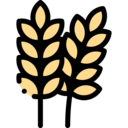 food and restaurant,nature,branch,rice,farming and gardening,cereal,wheat,grain,seed