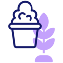decoration,furniture and household,plant,interior,interior design