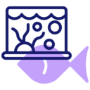 decoration,animals,aquarium,interior,interior design