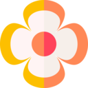 nature,botanical,flower,blossom,petals