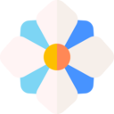 nature,botanical,flower,blossom,petals