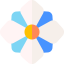 Nature and Flowers icon 64x64