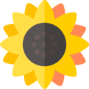 nature,botanical,flower,blossom,petals