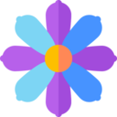 nature,botanical,flower,blossom,petals