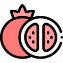 food,vegan,healthy food,food and restaurant,organic,diet,vegetarian,fruit,pomegranate