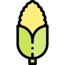 food,vegan,healthy food,food and restaurant,organic,diet,vegetarian,cereal,corn