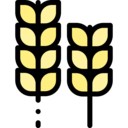 food and restaurant,nature,field,farming,gardening,wheat