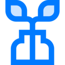 healthcare and medical,education,bottle,nature,plant,glass,biology,tree,sprout,growing seed ok 
