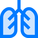 healthcare and medical,education,medicine,organs,organ,anatomy,breathing,human body,breath,lungs,lung