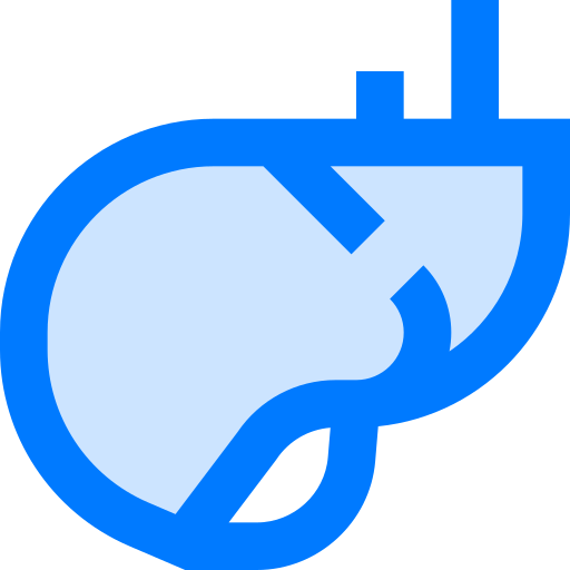 Liver