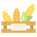 food,vegan,food and restaurant,organic,vegetarian,cereal,corn