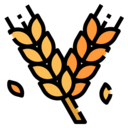 food,food and restaurant,cereal,wheat,grain,barley
