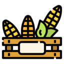 food,vegan,food and restaurant,organic,vegetarian,cereal,corn