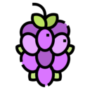 food and restaurant,organic,diet,fruit,grape,grapes,berries