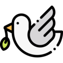 cultures,animals,peace,bird,animal,shapes and symbols,pigeon,dove,fly,wings