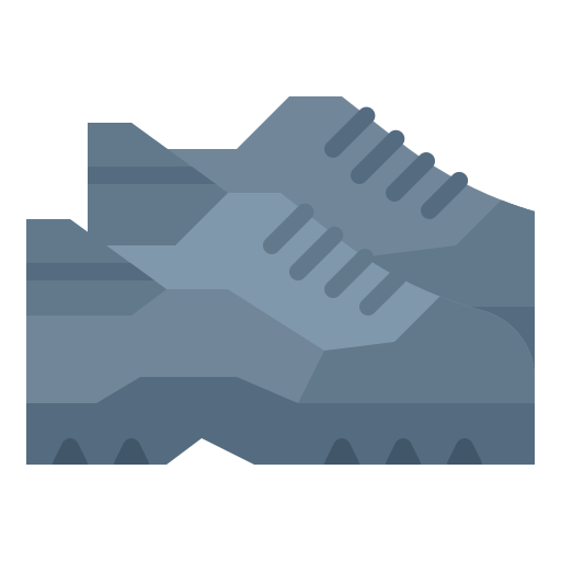 Shoe