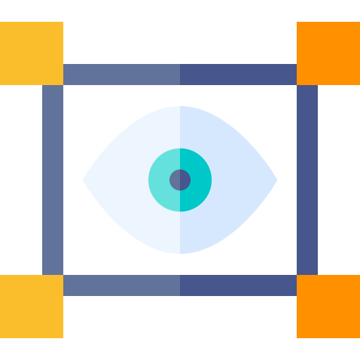 Vision