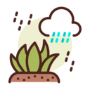 cloud,weather,rain,leaves,earth,grow ok 