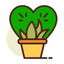 heart,love,plant,love and romance,farming and gardening,romantic,growth