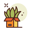 shipping and delivery,delivery,box,tea,leaf,plants