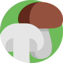 vegetable,vegan,healthy food,food and restaurant,organic,diet,nature,mushroom,Fungi,mushrooms