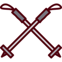 sports and competition,winter sports,ski,poles